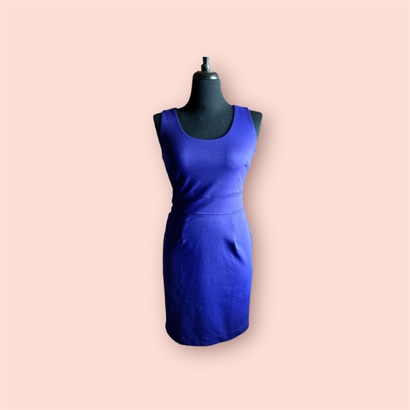 Banana Republic Purple Mini Dress size 4 EUC - Picture 4 of 11